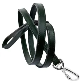 Belmont Dog Leash in Ivy Green & Nickel