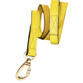 Georgia Rose Dog Leash in Canary Yellow & Gold